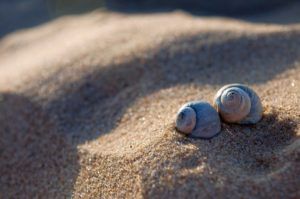 sand
